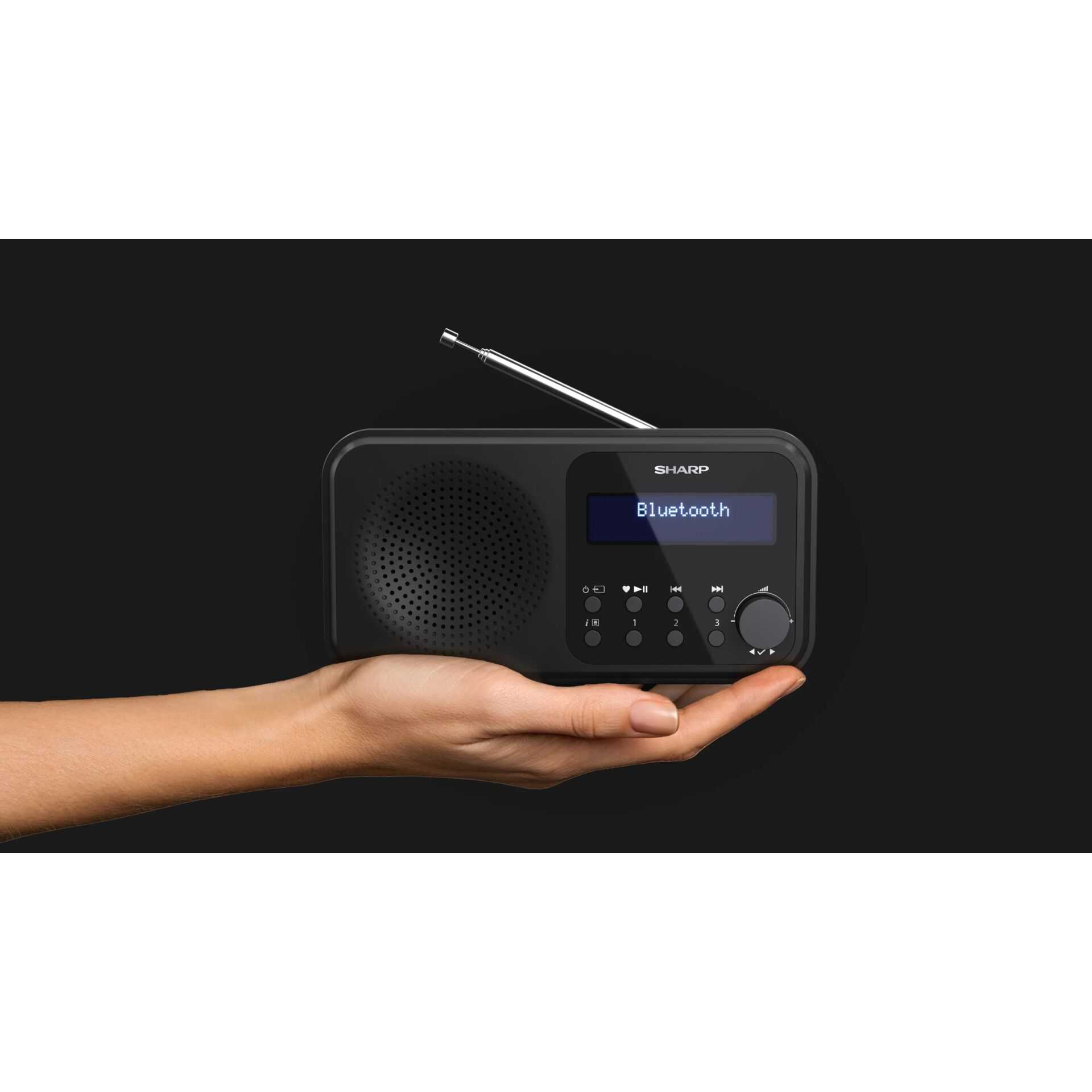 Sharp DR-P420(BK) schwarz